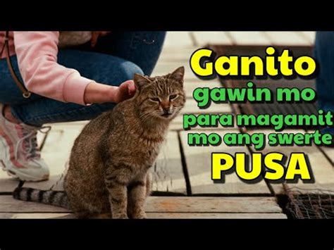 swerteng swerte ang beshie ko sa laki ng yorme|swerte in English .